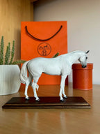 Miniatura de Cavalo - (#4) - foto 2