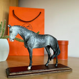Miniatura de Cavalo - (#5)
