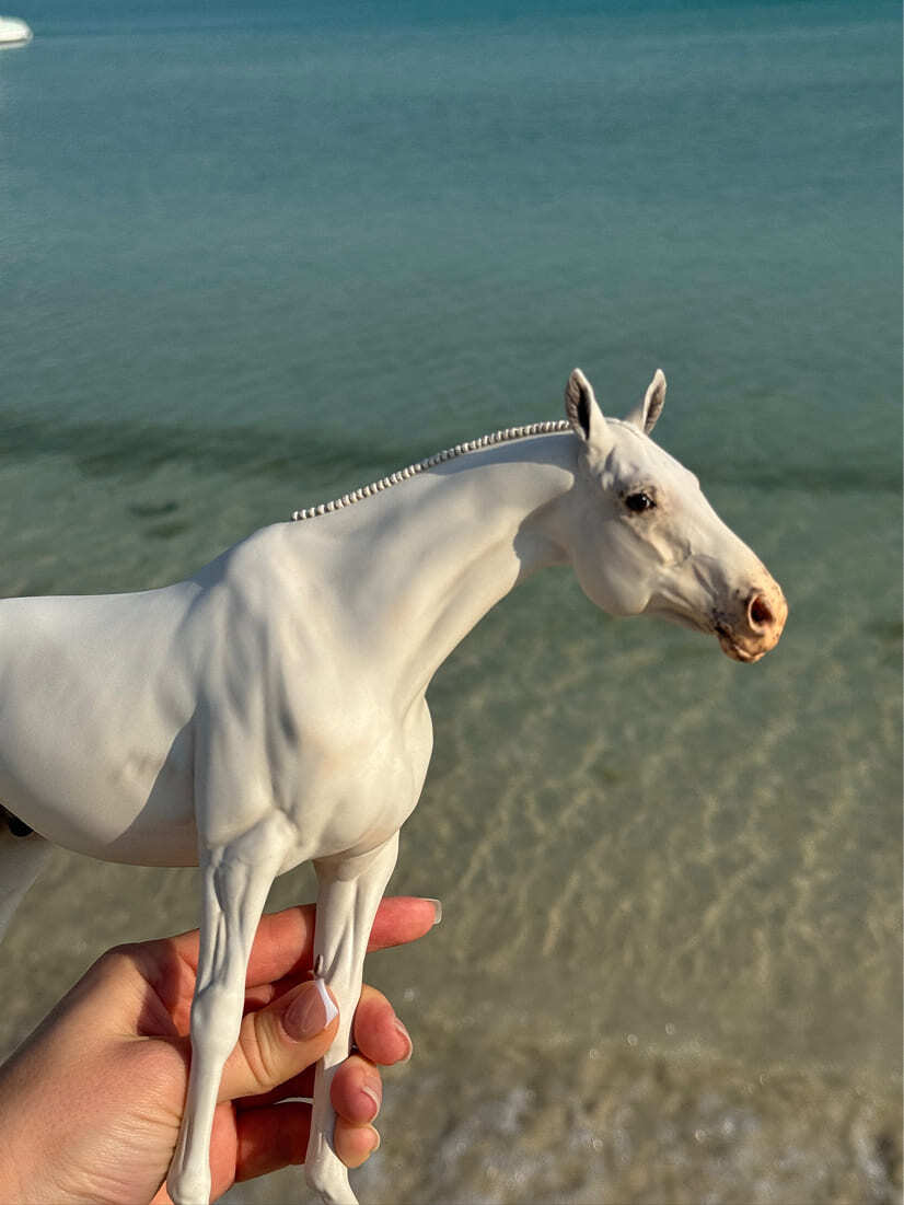 Miniatura de Cavalo - foto 3