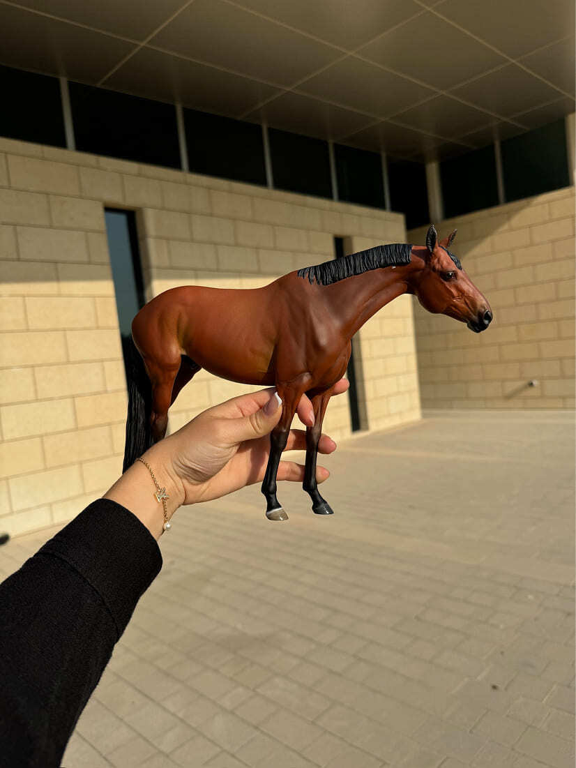 Miniatura de Cavalo