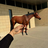 Miniatura de Cavalo