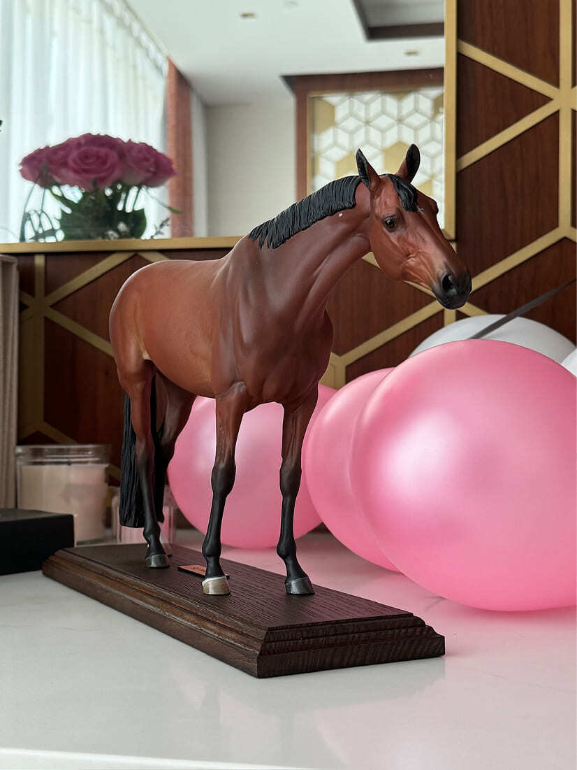 Miniatura de Cavalo - foto 3