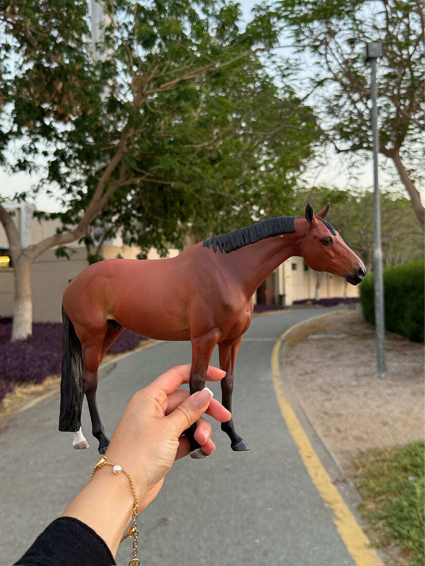 Miniatura de Cavalo - foto 2