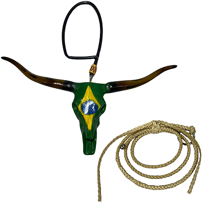 Enfeite De Retrovisor Long Horn + Mini Laço - foto 4