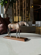 Miniatura de Cavalo - foto 3