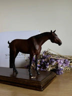 Miniatura de Cavalo - foto 3