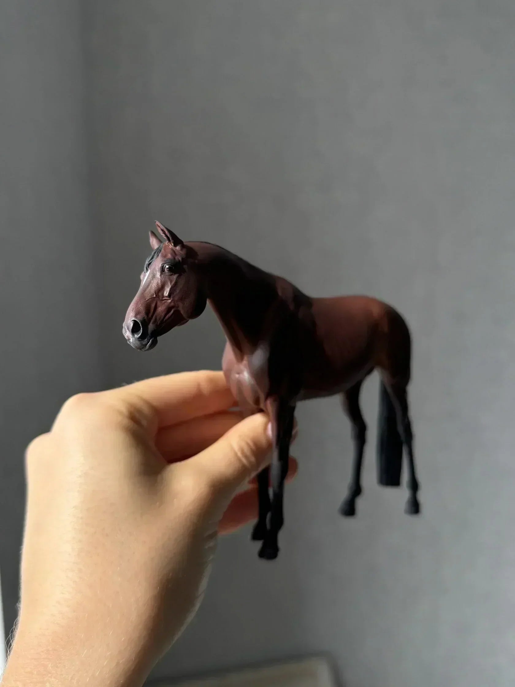 Miniatura de Cavalo - foto 4