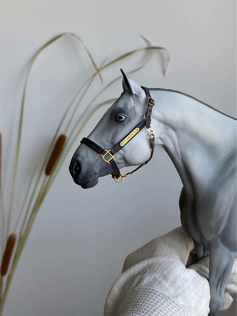 Miniatura de Cavalo - foto 2